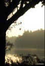 lippajarvi 1 * Aikainen aamu Lippaj�rven rannassa. * 415 x 600 * (144KB)